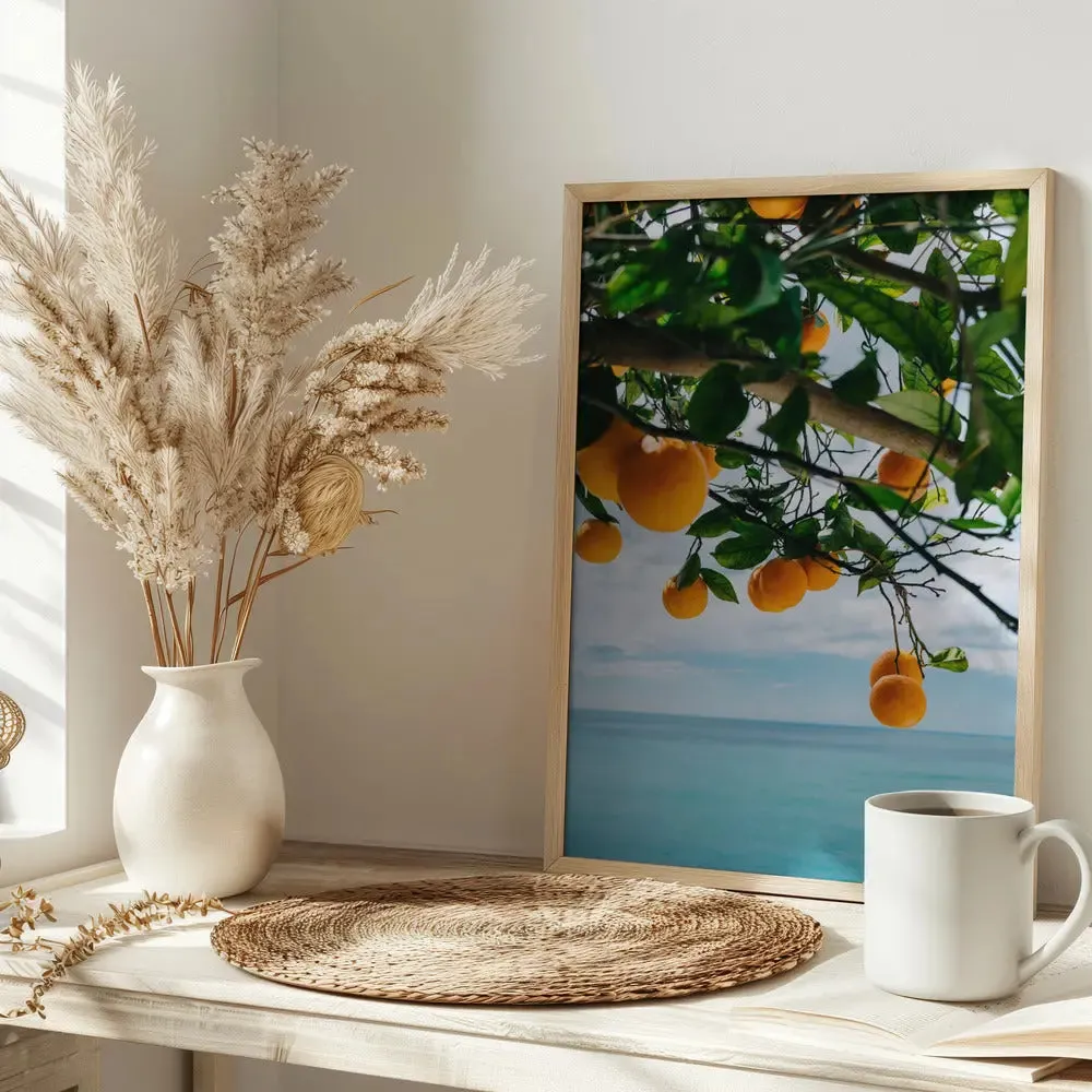 Amalfi Coast Oranges IV by Bethany Young- Italian Photographic Print