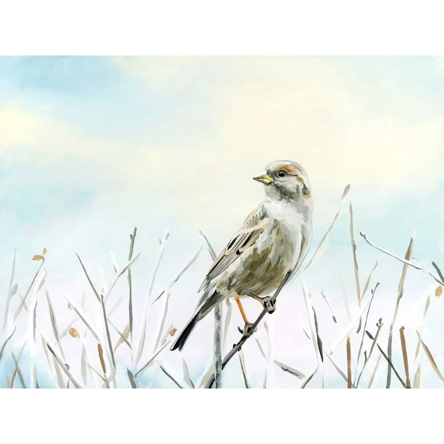 Avian Spotlight - Morning Light Canvas Wall Art