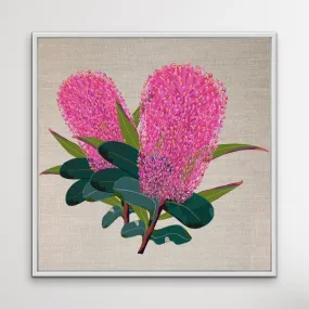 Banksia On Linen - Original Banksia Australian Nature Wall Art Print  on Canvas