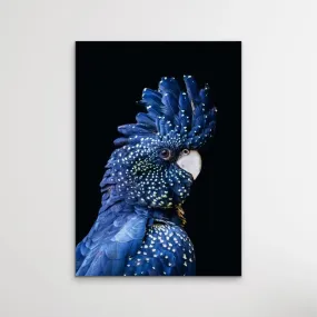 Black Cockatoo on Black - Black Cockatoo Wall Art Print Stretched Canvas Wall Art