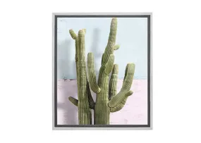 Cactus Against Pink Blue Wall | Canvas Wall Art Print